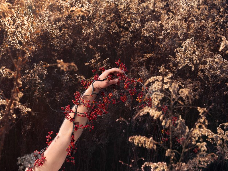 Cai Quirk - Transcendence: Queer Restoryation